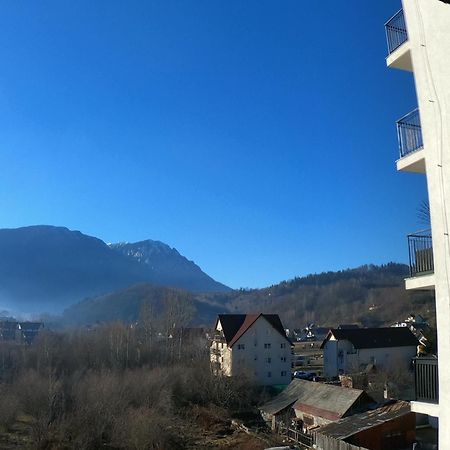 Panoramic Residence Zărneşti Εξωτερικό φωτογραφία
