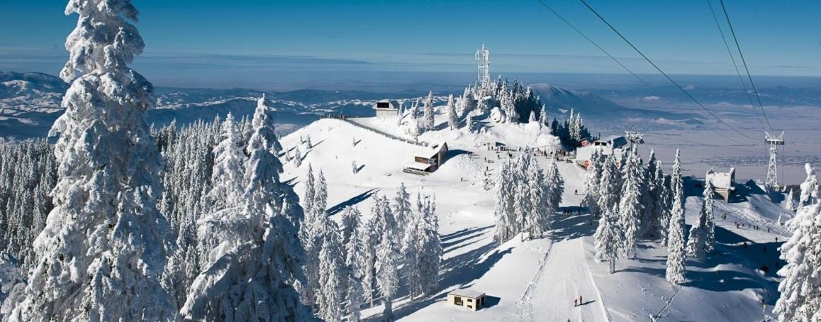 Panoramic Residence Zărneşti Εξωτερικό φωτογραφία