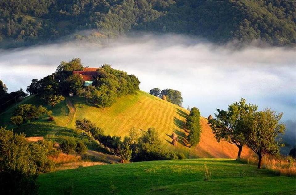 Panoramic Residence Zărneşti Εξωτερικό φωτογραφία