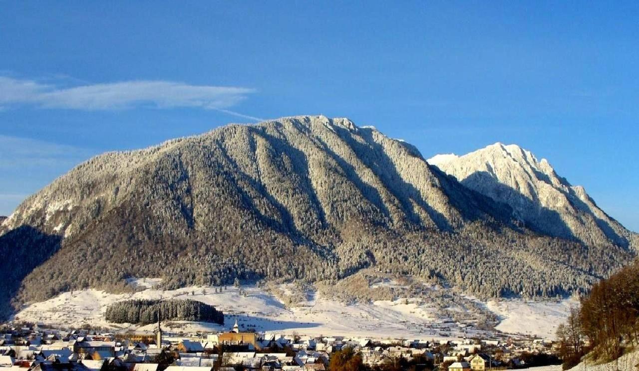 Panoramic Residence Zărneşti Εξωτερικό φωτογραφία