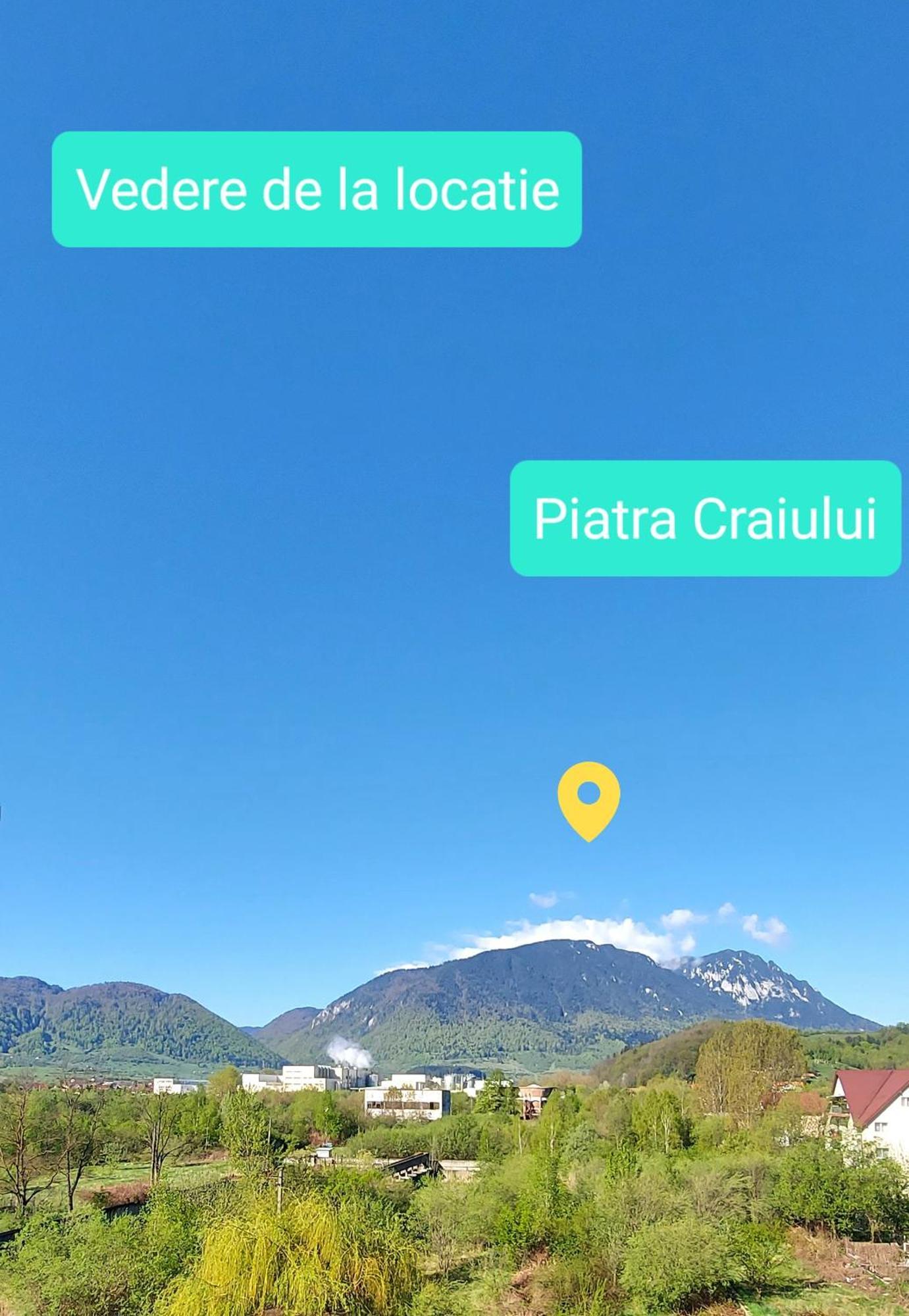 Panoramic Residence Zărneşti Εξωτερικό φωτογραφία